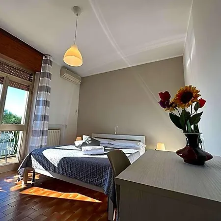 Miura Lazise
